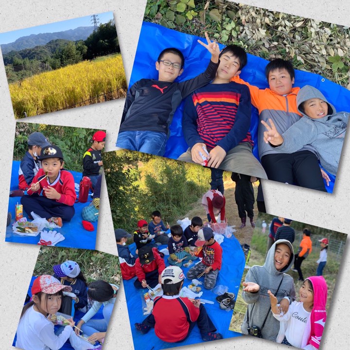 10月16日 最後の稲刈り(あすらん)