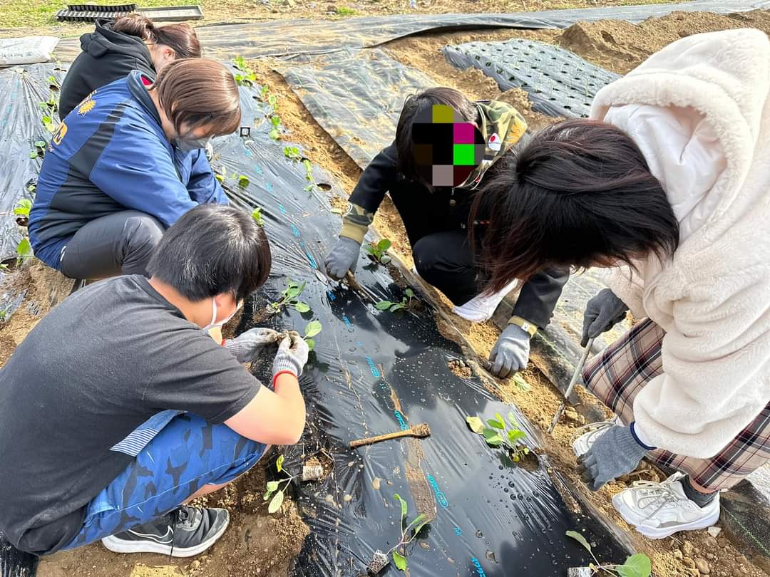 『あすらんっ子』苗植え