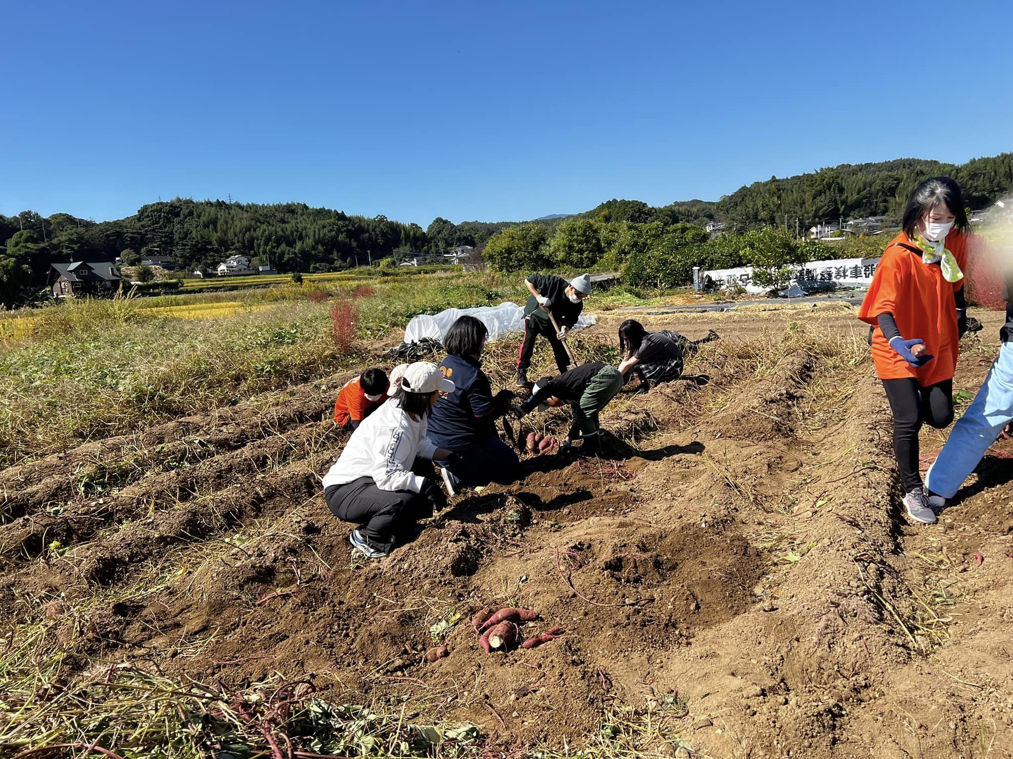 10月22日 秋の収穫祭！